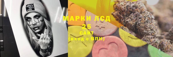тгк Горно-Алтайск