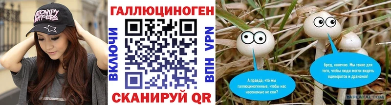 Купить закладки  Свирск  Псилоцибиновые грибы Cubensis 